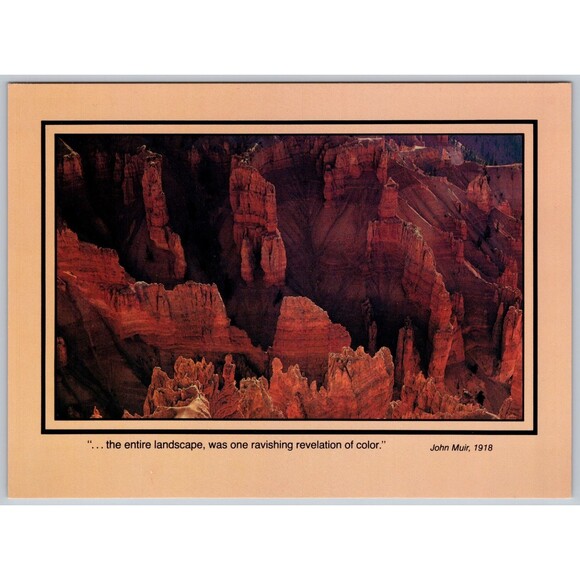 Postcard Cedar Breaks National Monument Utah Large Print Vintage 8" x 5.75" UT - Picture 1 of 2